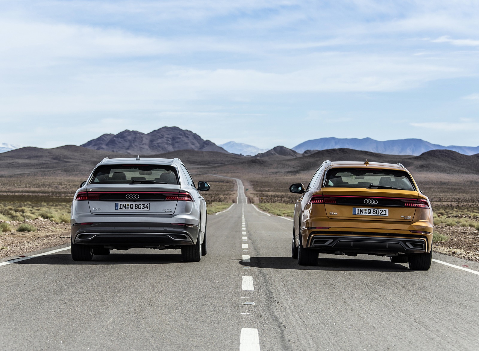2019 Audi Q8 Rear Wallpapers #246 of 260