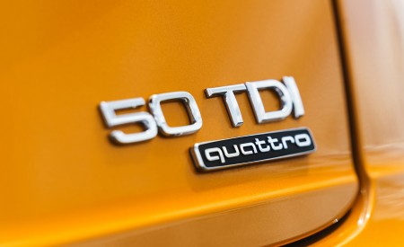 2019 Audi Q8 S Line 50 TDI Quattro (UK-Spec) Badge Wallpapers 450x275 (80)