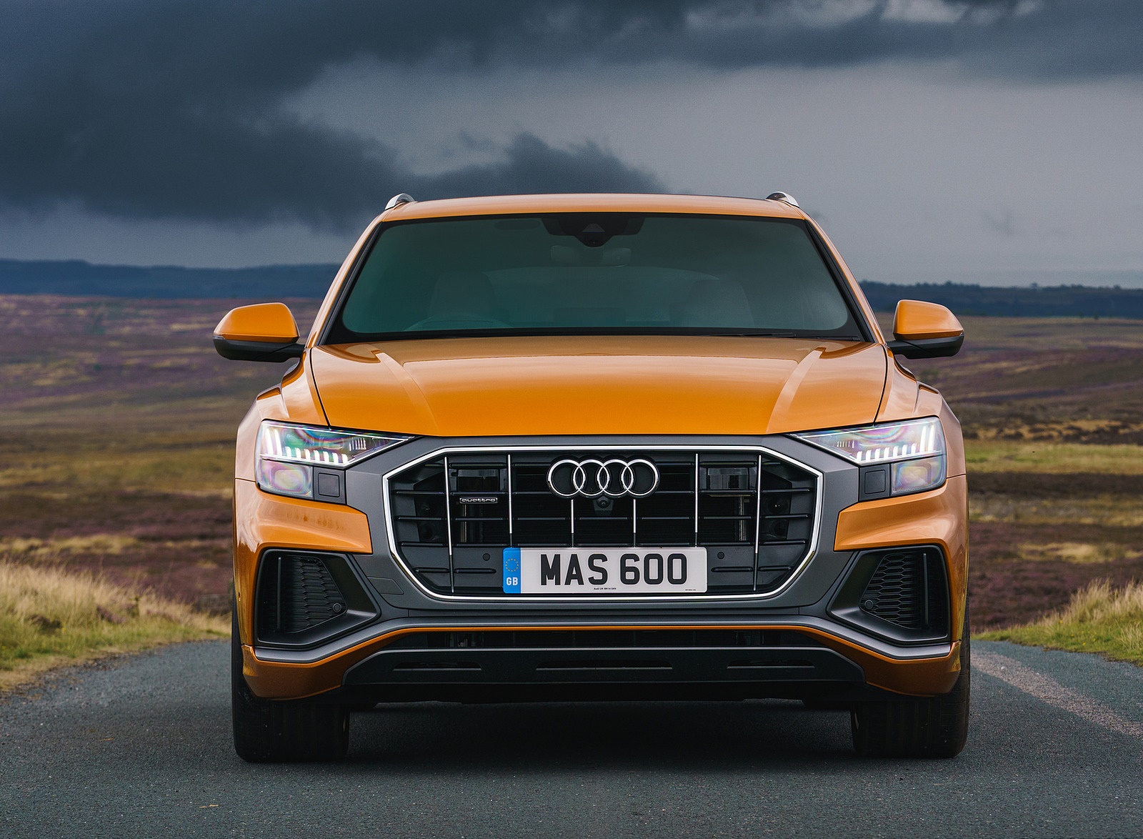 audi q8 отзывы владельцев