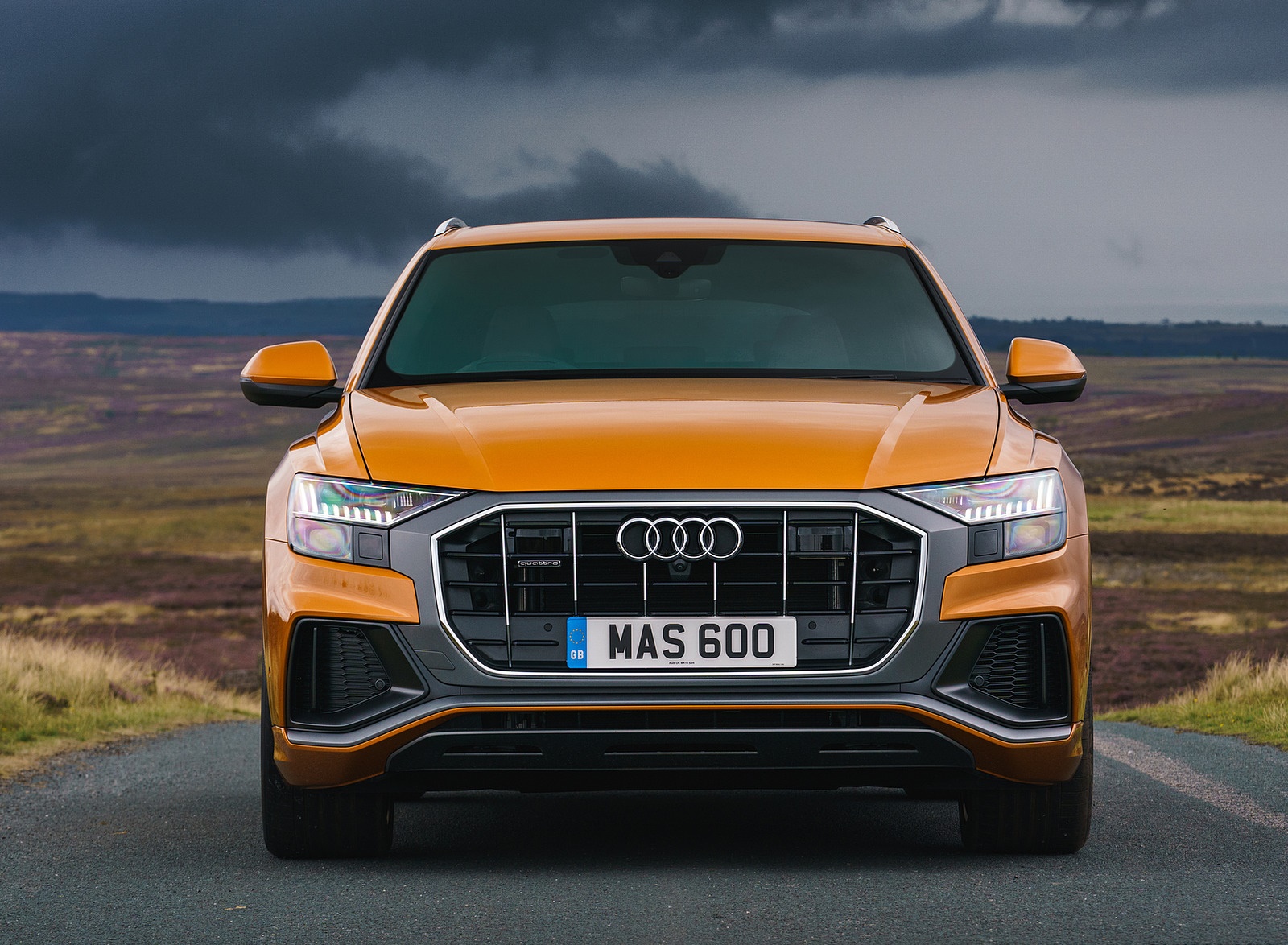 2019 Audi Q8 S Line 50 TDI Quattro (UK-Spec) Front Wallpapers #55 of 98