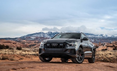 2019 Audi Q8 (US-Spec) Front Wallpapers 450x275 (39)