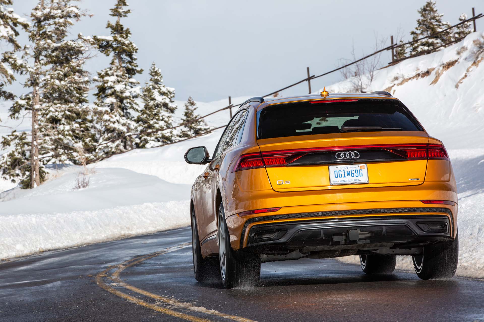 2019 Audi Q8 (US-Spec) Rear Wallpapers #111 of 260
