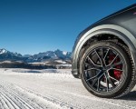 2019 Audi Q8 (US-Spec) Wheel Wallpapers 150x120 (33)