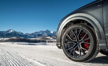 2019 Audi Q8 (US-Spec) Wheel Wallpapers 450x275 (33)
