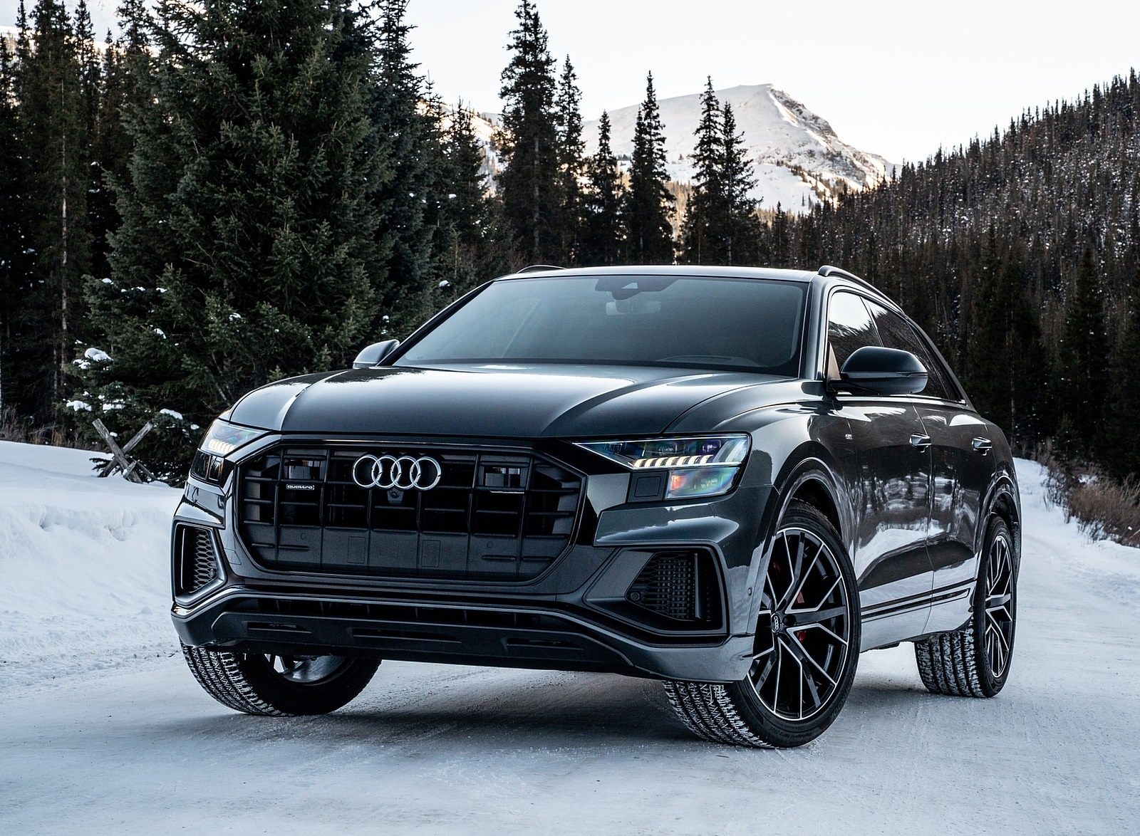 2019 Audi Q8 (US-Spec) in Snow Front Three-Quarter Wallpapers #80 of 260