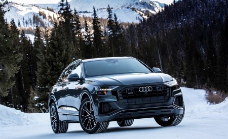 2019 Audi Q8 (US-Spec) in Snow Front Wallpapers 450x275 (82)
