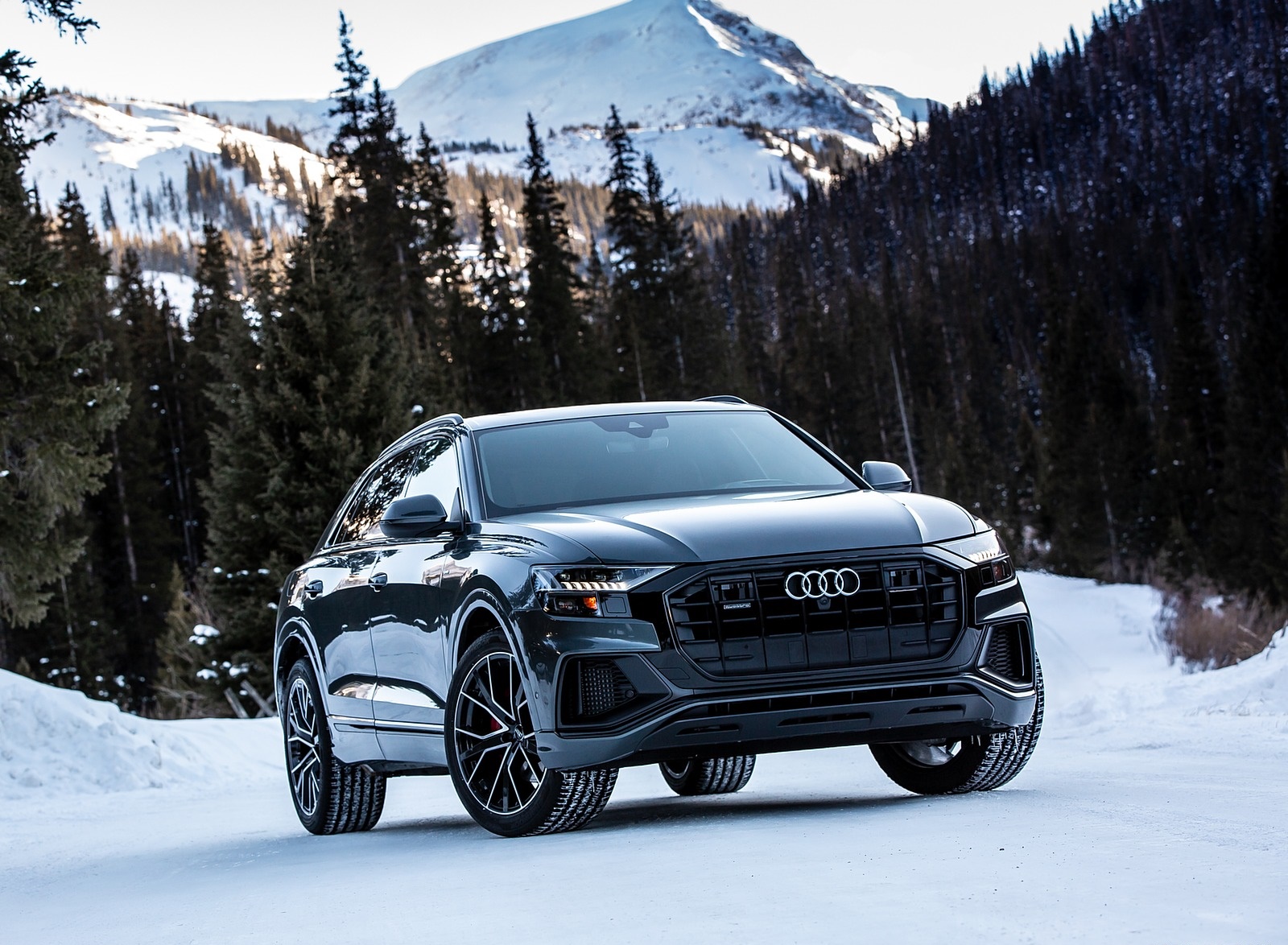2019 Audi Q8 (US-Spec) in Snow Front Wallpapers #82 of 260