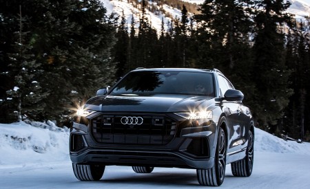 2019 Audi Q8 (US-Spec) in Snow Front Wallpapers 450x275 (83)