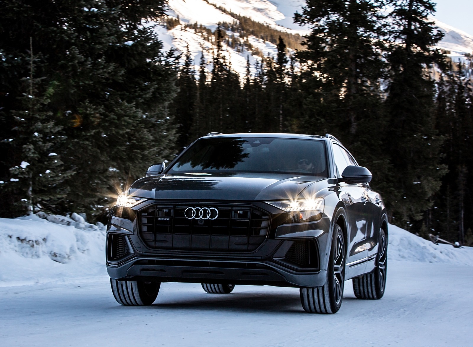 2019 Audi Q8 (US-Spec) in Snow Front Wallpapers #83 of 260