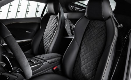 2019 Audi R8 V10 Decennium (Color: Daytona Gray Matt) Interior Wallpapers 450x275 (10)