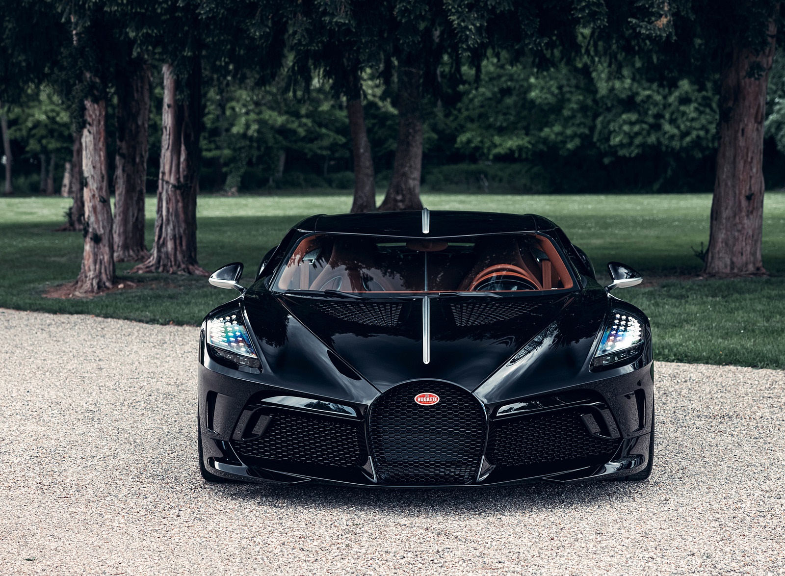 2019 Bugatti La Voiture Noire Front Wallpapers (8)