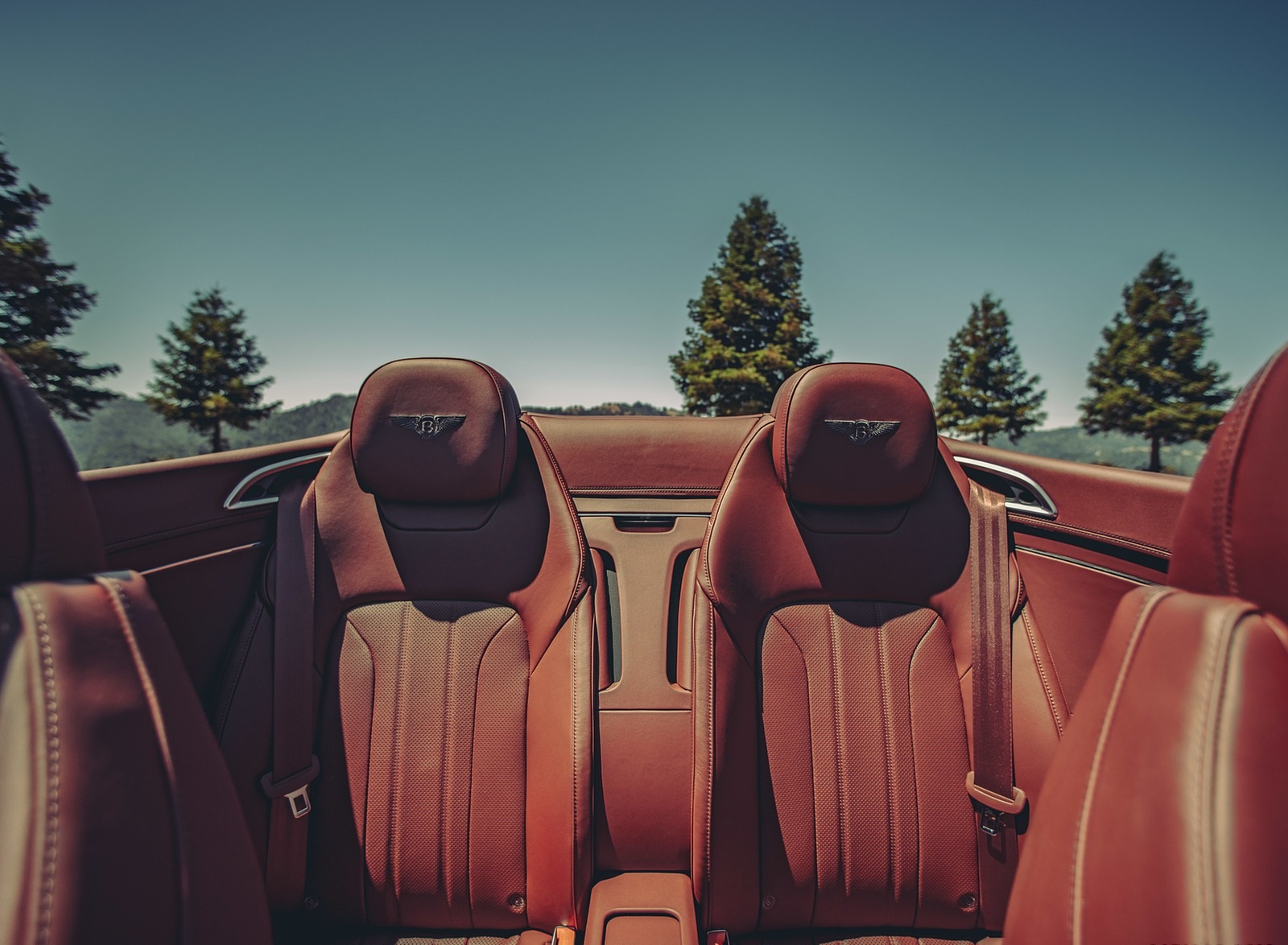 2020 Bentley Continental GT V8 Convertible Interior Rear Seats Wallpapers #84 of 111