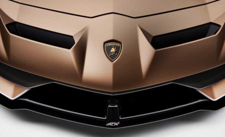 2020 Lamborghini Aventador SVJ Roadster Badge Wallpapers 450x275 (32)