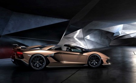 2020 Lamborghini Aventador SVJ Roadster Side Wallpapers 450x275 (15)