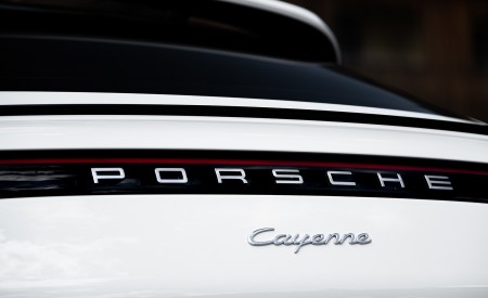 2020 Porsche Cayenne Coupé (Color: Carrara White Metallic) Detail Wallpapers 450x275 (162)