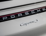 2020 Porsche Cayenne S Coupé (Color: Crayon) Detail Wallpapers 150x120 (61)