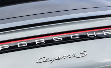 2020 Porsche Cayenne S Coupé (Color: Dolomite Silver Metallic) Detail Wallpapers 450x275 (115)