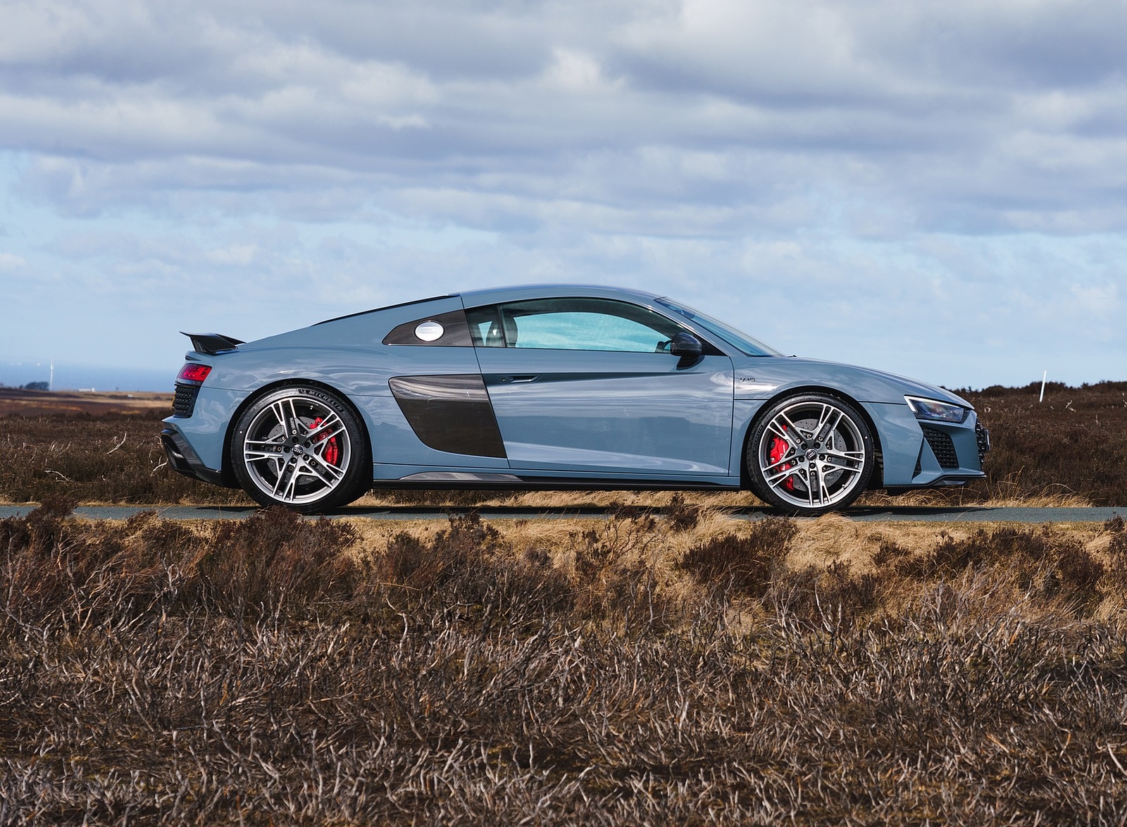 2019 Audi R8 V10 Coupe Performance quattro (UK-Spec) Side Wallpapers #138 of 199