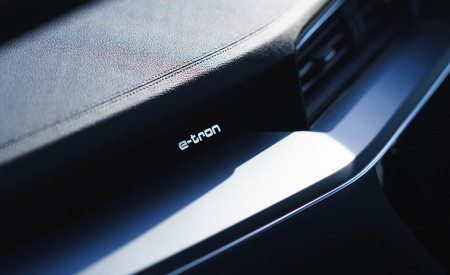 2019 Audi e-tron 55 (UK-Spec) Detail Wallpapers  450x275 (108)