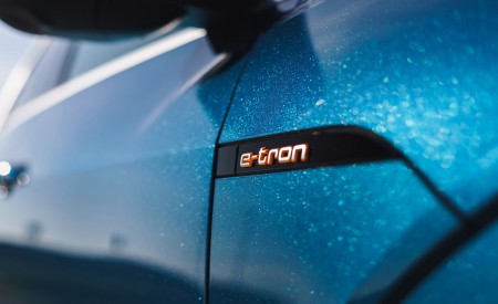 2019 Audi e-tron 55 (UK-Spec) Detail Wallpapers 450x275 (112)