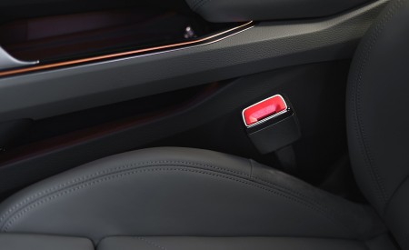 2019 Audi e-tron 55 (UK-Spec) Interior Detail Wallpapers 450x275 (149)