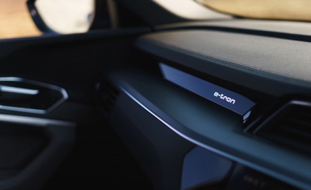 2019 Audi e-tron 55 (UK-Spec) Interior Detail Wallpapers  450x275 (147)