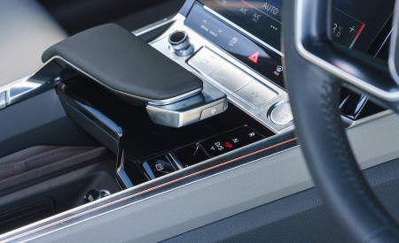 2019 Audi e-tron 55 (UK-Spec) Interior Detail Wallpapers 450x275 (133)
