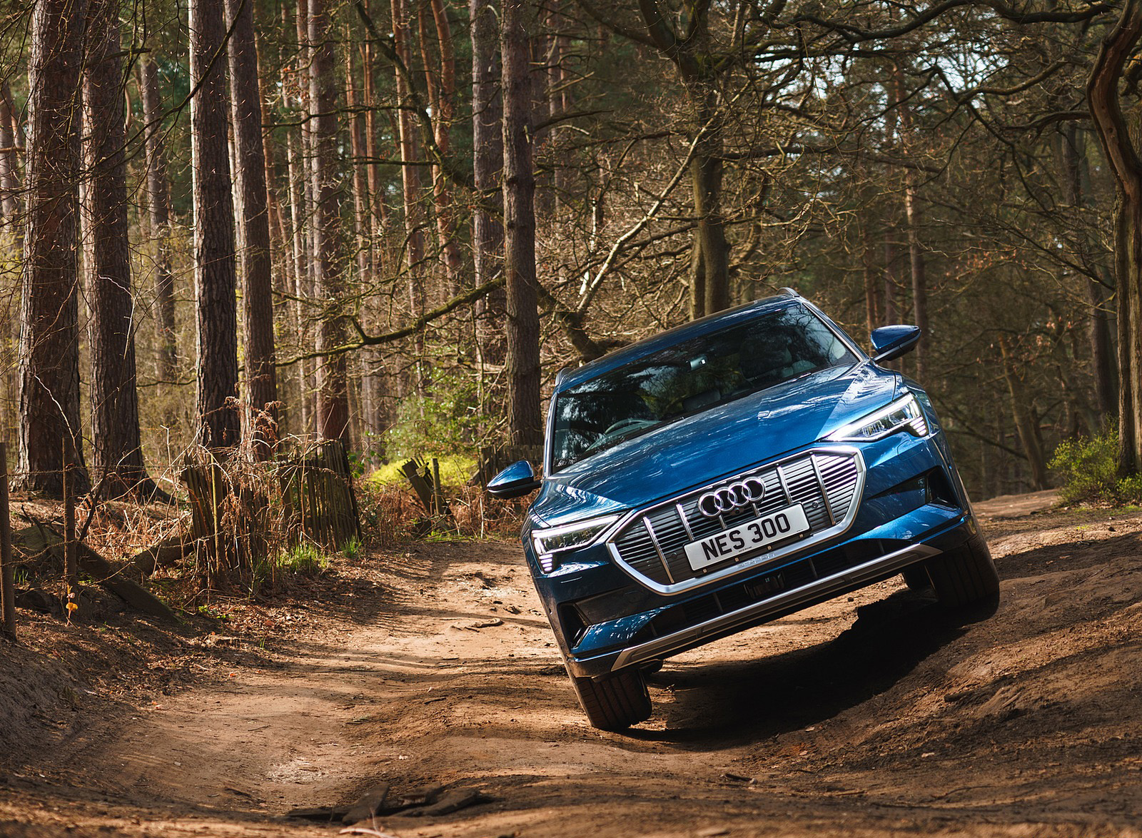 2019 Audi e-tron 55 (UK-Spec) Off-Road Wallpapers #69 of 156
