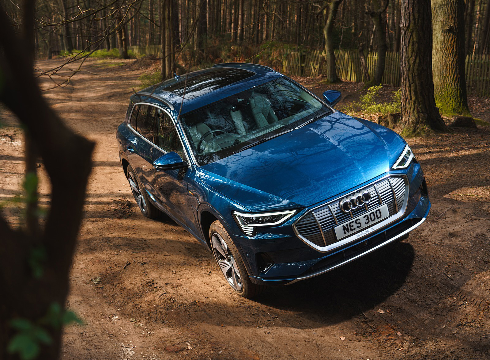 2019 Audi e-tron 55 (UK-Spec) Off-Road Wallpapers #68 of 156