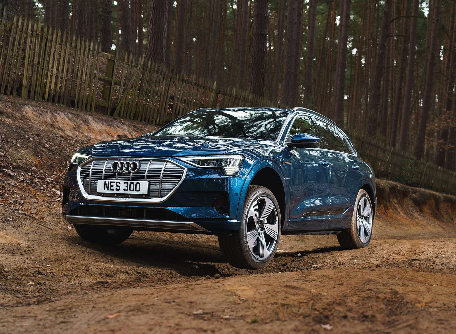 2019 Audi e-tron 55 (UK-Spec) Off-Road Wallpapers  #66 of 156