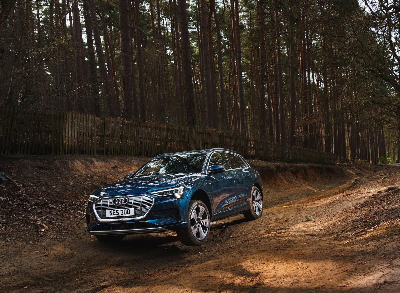 2019 Audi e-tron 55 (UK-Spec) Off-Road Wallpapers  #65 of 156