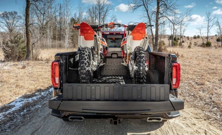 2019 GMC Sierra Denali CarbonPro Edition Rear Wallpapers 450x275 (5)