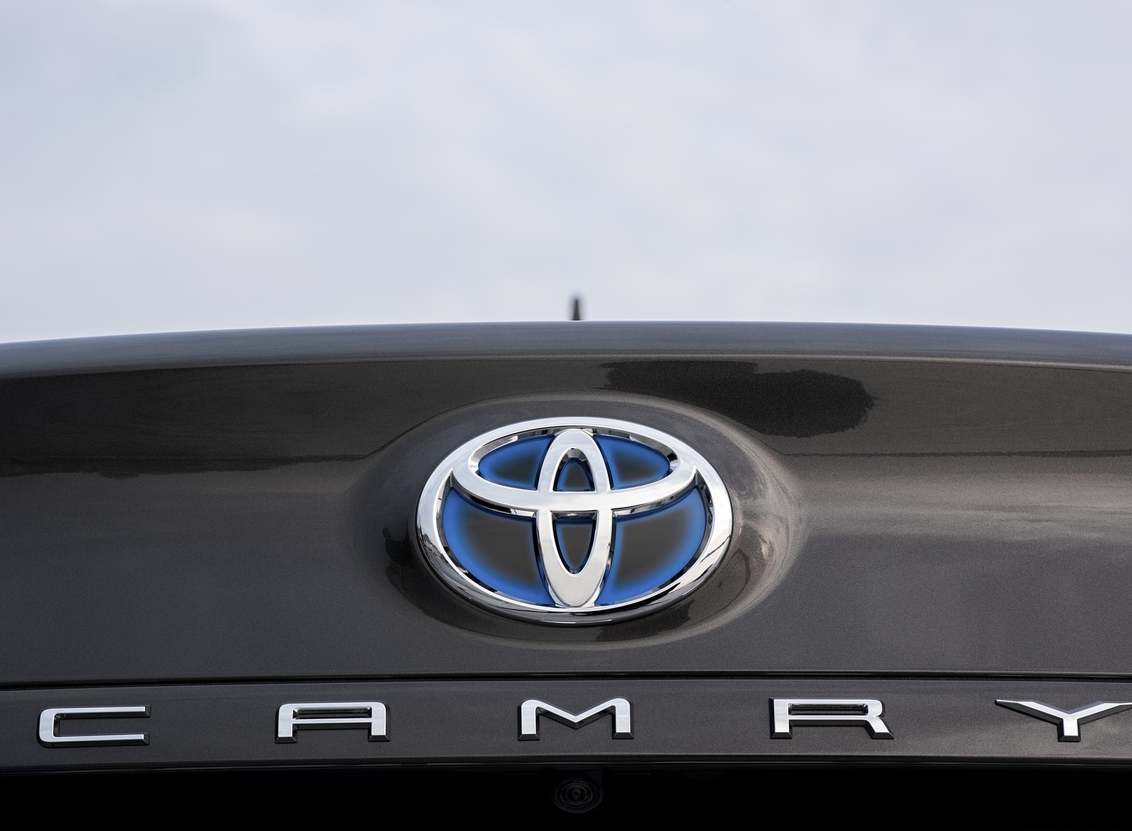 2019 Toyota Camry Hybrid (Euro-Spec) Badge Wallpapers #66 of 92