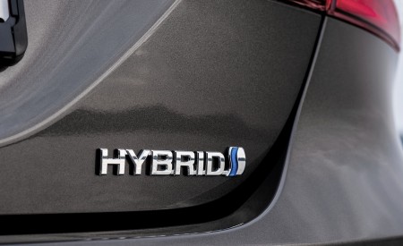2019 Toyota Camry Hybrid (Euro-Spec) Badge Wallpapers 450x275 (64)