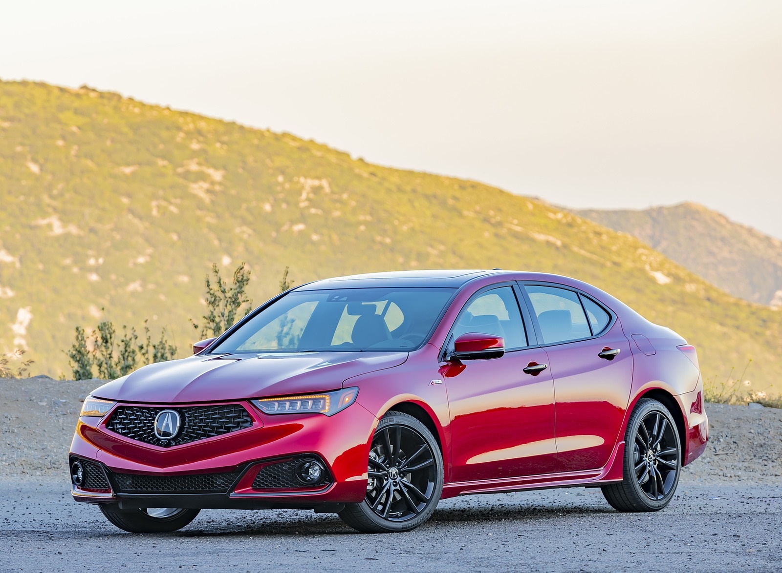 2020 Acura TLX PMC Edition Front Three-Quarter Wallpapers (5)