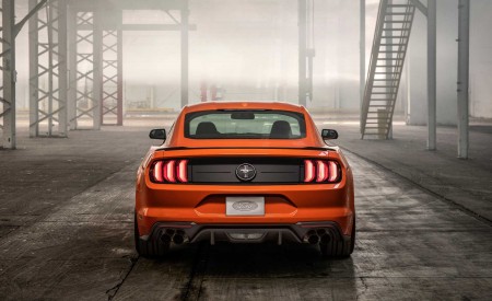 2020 Ford Mustang 2.3L High Performance Package Rear Wallpapers 450x275 (6)