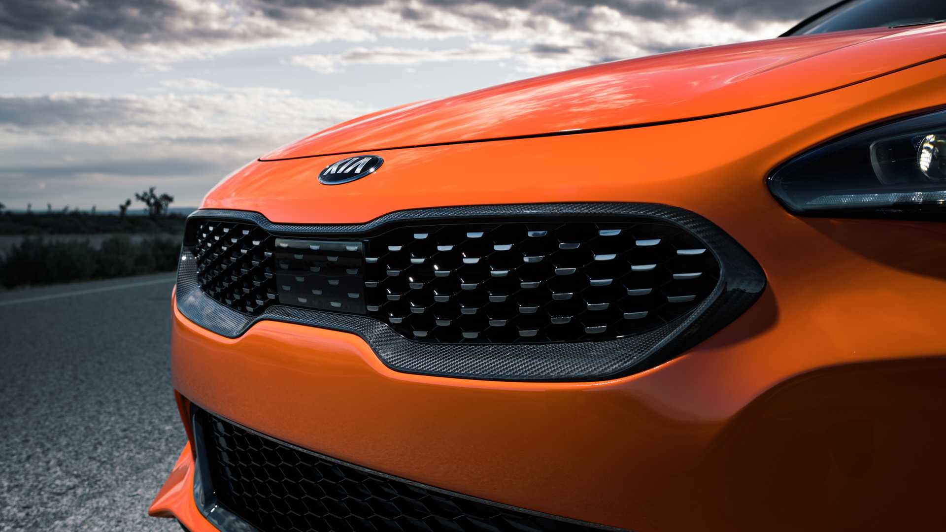 2020 Kia Stinger GTS Grill Wallpapers #11 of 16