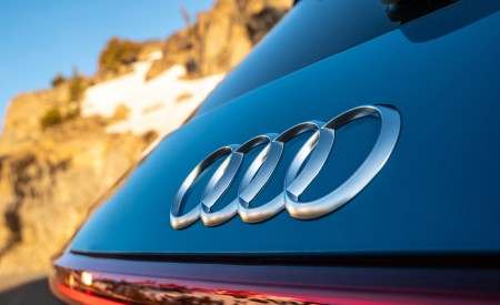 2019 Audi e-tron (US-Spec) Badge Wallpapers 450x275 (34)