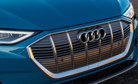 2019 Audi e-tron (US-Spec) Grille Wallpapers  450x275 (29)