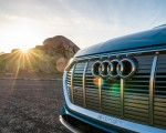 2019 Audi e-tron (US-Spec) Grille Wallpapers 150x120 (28)
