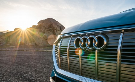 2019 Audi e-tron (US-Spec) Grille Wallpapers 450x275 (28)
