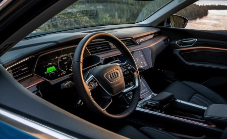 2019 Audi e-tron (US-Spec) Interior Wallpapers 450x275 (39)