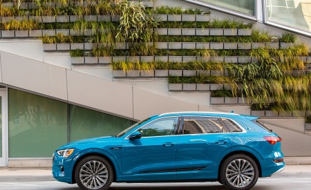 2019 Audi e-tron (US-Spec) Side Wallpapers 450x275 (17)