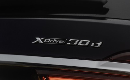 2019 BMW X7 30d (UK-Spec) Detail Wallpapers 450x275 (99)