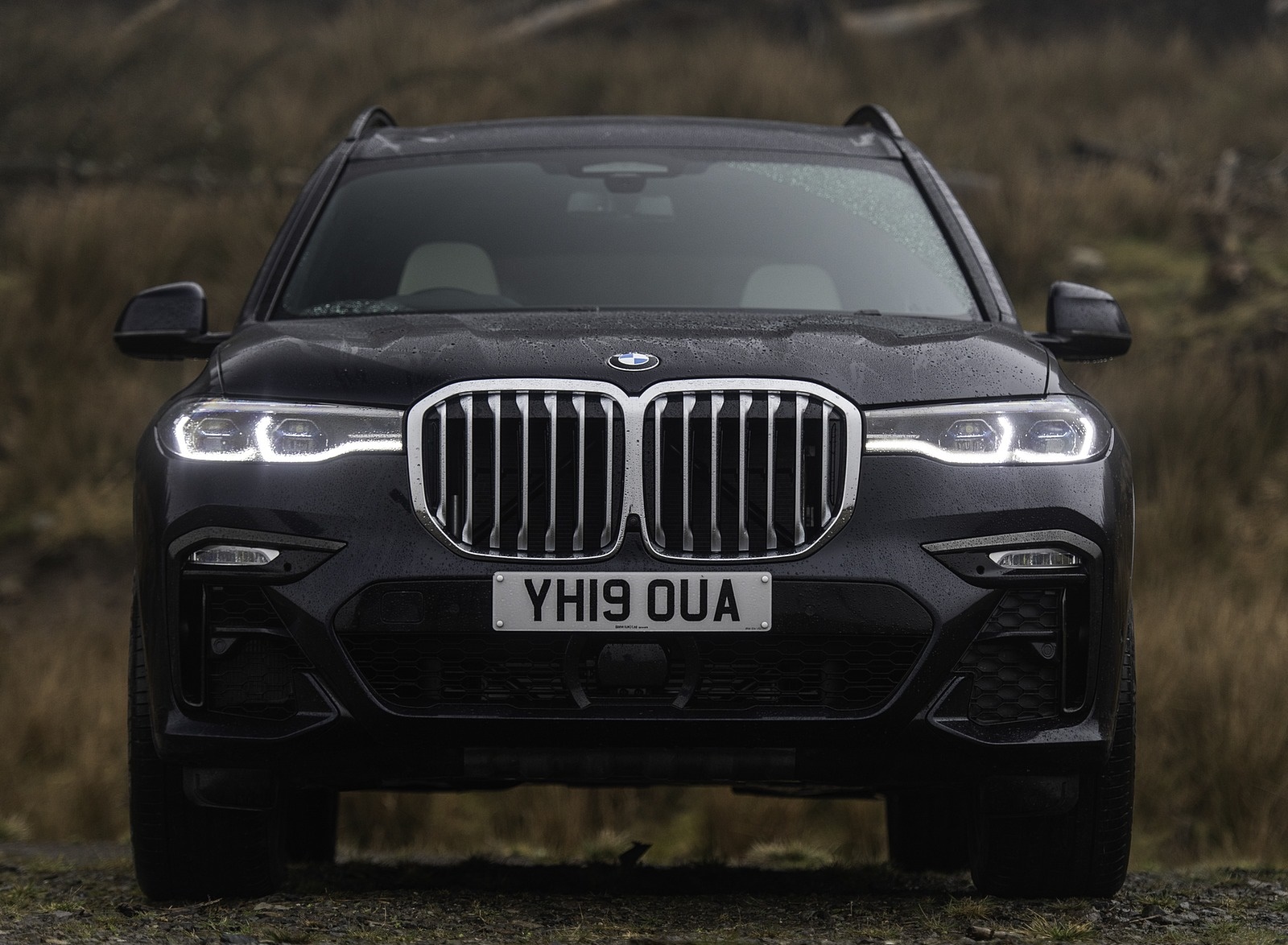 2019 BMW X7 30d (UK-Spec) Front Wallpapers #98 of 103