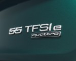 2020 Audi Q5 55 TFSI e Plug-In Hybrid Badge Wallpapers 150x120