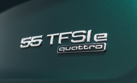 2020 Audi Q5 55 TFSI e Plug-In Hybrid Badge Wallpapers 450x275 (119)
