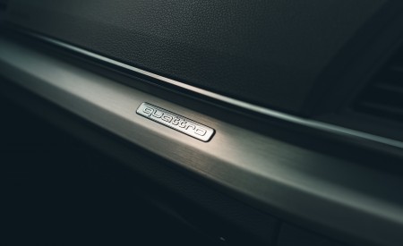 2020 Audi Q5 55 TFSI e Plug-In Hybrid Detail Wallpapers 450x275 (131)