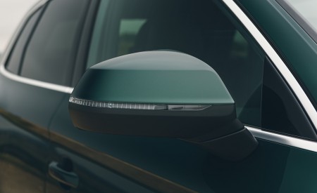 2020 Audi Q5 55 TFSI e Plug-In Hybrid Mirror Wallpapers 450x275 (108)