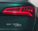 2020 Audi Q5 55 TFSI e Plug-In Hybrid Tail Light Wallpapers 150x120